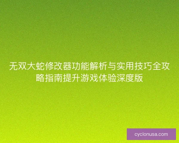 无双大蛇修改器功能解析与实用技巧全攻略指南提升游戏体验深度版