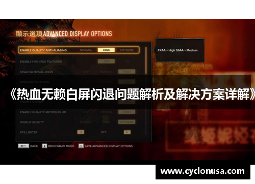 《热血无赖白屏闪退问题解析及解决方案详解》
